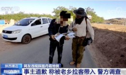 郑州加油爆料事件始末最新消息,真相与争议交织的舆论漩涡